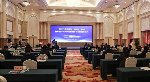 新材料發(fā)展趨勢論壇暨環(huán)境與礦產(chǎn)新材料聯(lián)合研究院揭牌儀式在峨眉山舉行